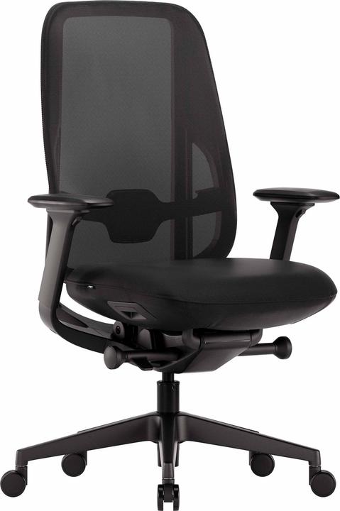 Image du produit ofinto Cloud (46 - 56 cm)