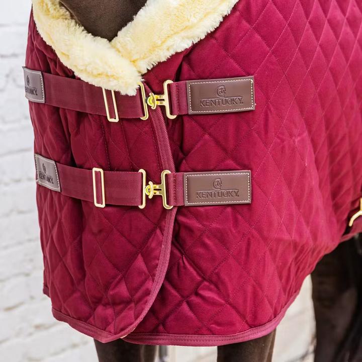 Produktbild Kentucky Horsewear 160g (140 cm)