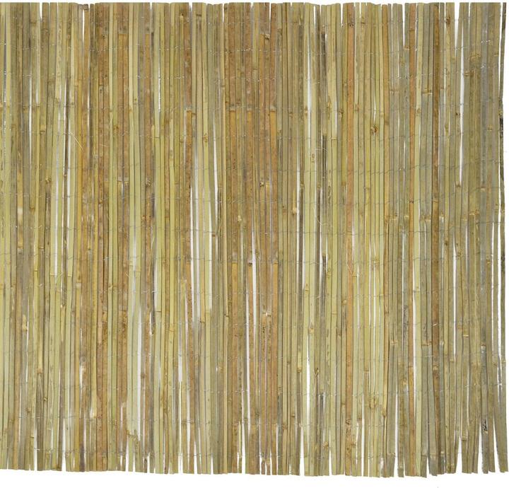 Image du produit Casa Pura Brésil (300 cm)