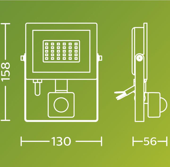 Actual product image Philips Outdoor Flutlicht Lois (1900 lm, IP65)