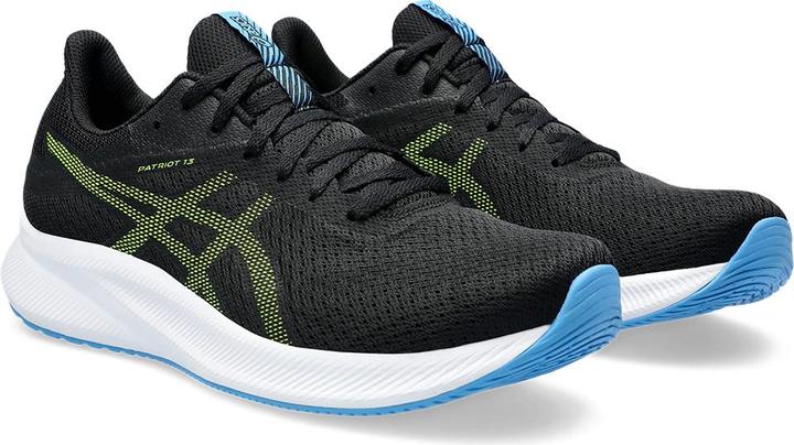 Produktbild ASICS Performance PATRIOT 13 (42)