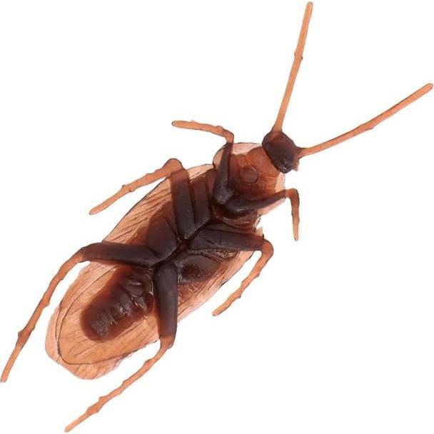 Thumbnail - Boland 6 Kakerlaken (2.5 x 7.5 cm) Bäähh!