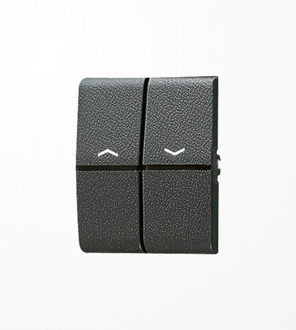 Actual product image JUNG Rocker symbols/light guides for push-button 805 P