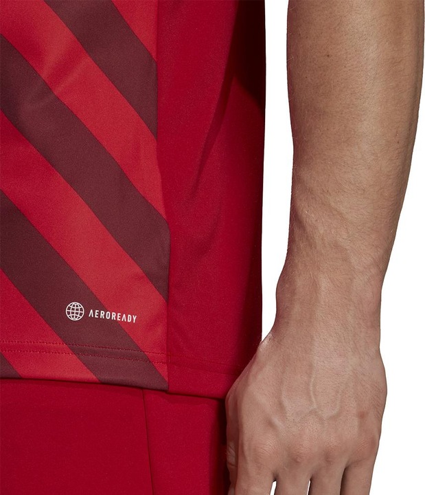 Actual product image adidas Entrada 22 Graphic Football Shirt Men (S)