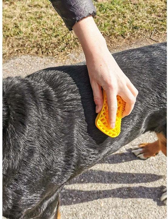 Actual product image Pet+Me Brush (Cat, Dog)