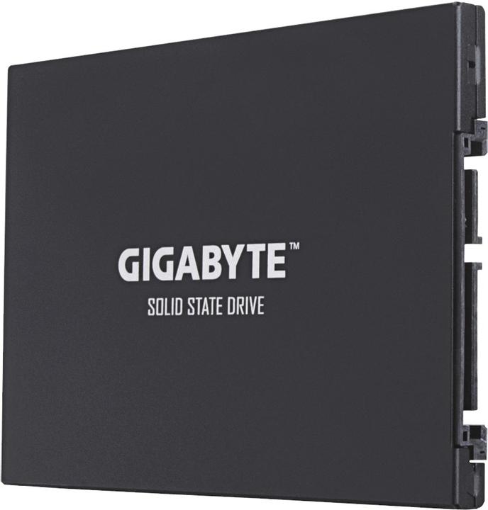 Produktbild Gigabyte GP-GSTFS30256GTTD (256 GB, 2.5")