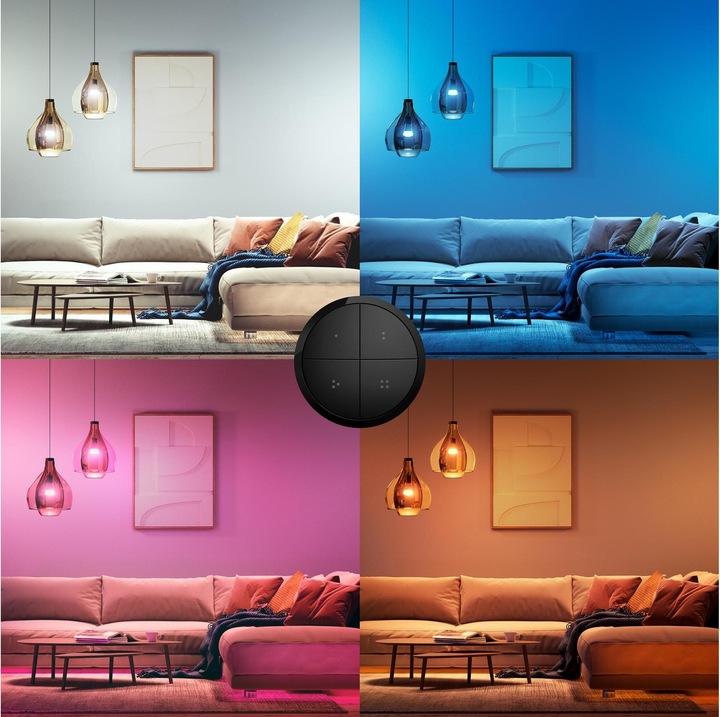 Actual product image Philips Hue Tap dial switch