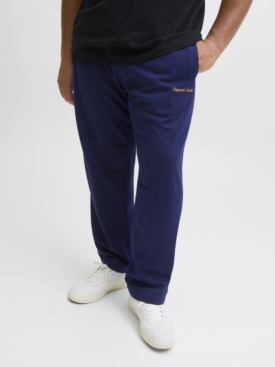 Actual product image Jack & Jones Plus Size Relaxed Fit Relaxed Fit Hosen Relaxed Fit Hosen (40)