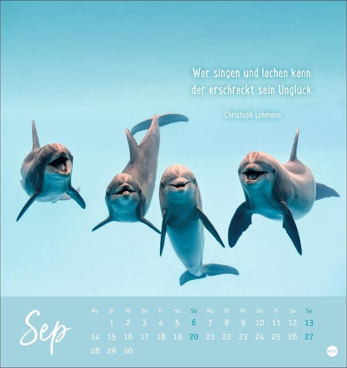 Produktbild Never give up! Postkartenkalender 2026 - Durchhalten. Denn alles wird gut (Deutsch)
