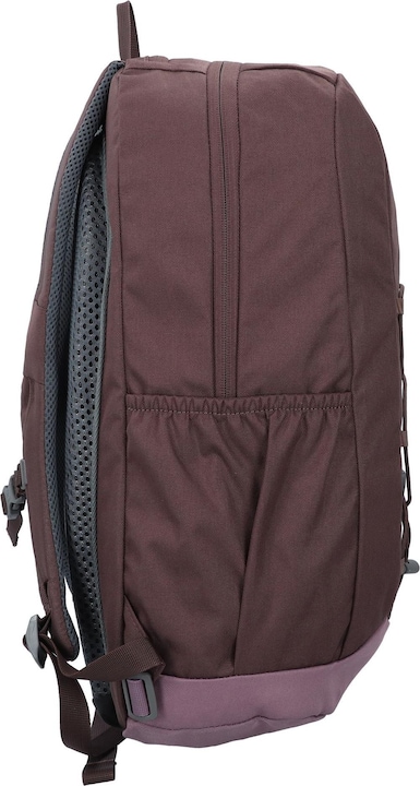 Produktbild Deuter Gogo (25 l)