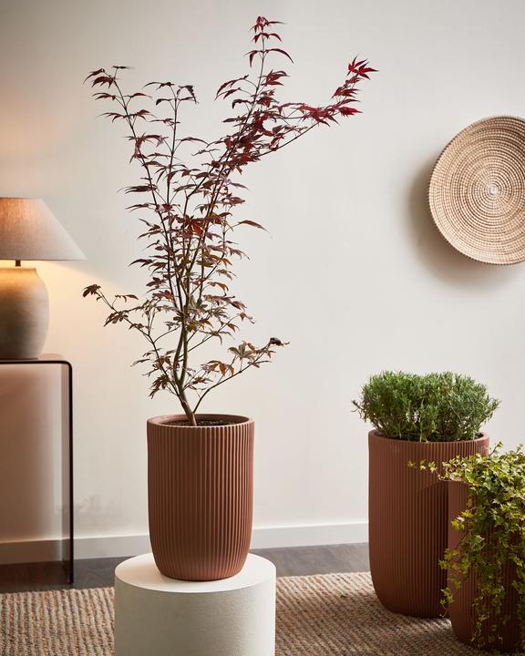 Produktbild Beliani Eantio (25 x 38 cm)