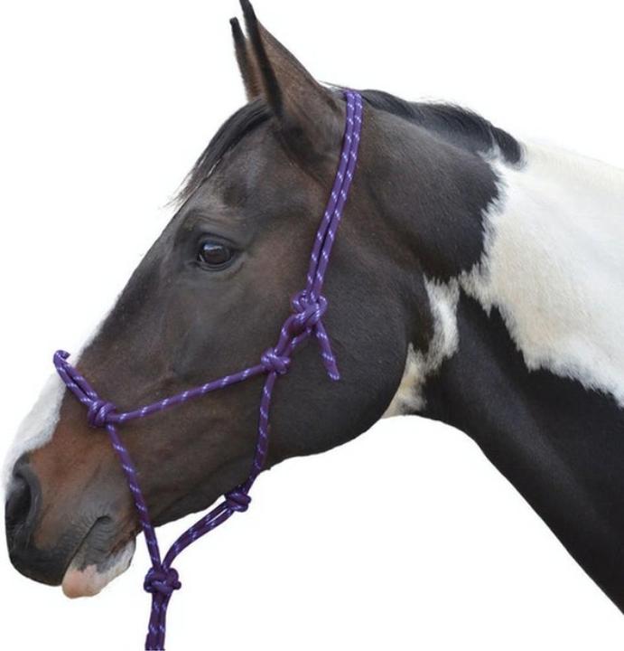 Hy Cavezza con nodo a corda