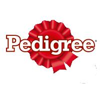 Produktbild Pedigree Denta Stix small (Adult, Junior, 1 Stk., 110 g)