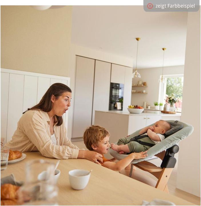 Actual product image Hauck Highchair Bouncer