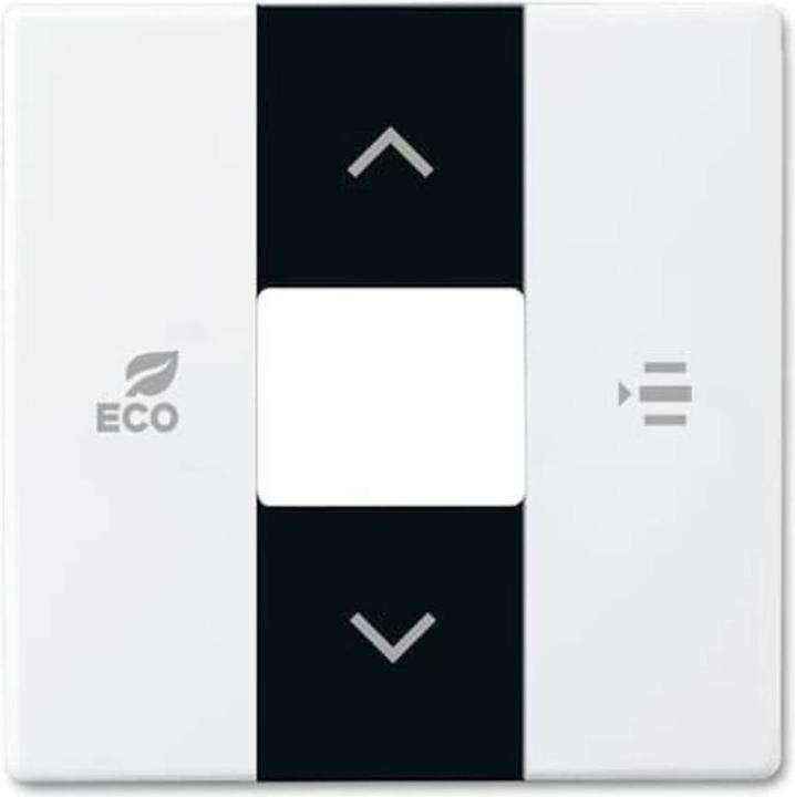 Actual product image Busch-Jaeger 6236-84