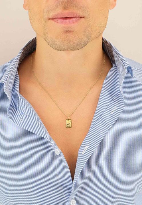 Image du produit Muau Capricorne (Or jaune 750)
