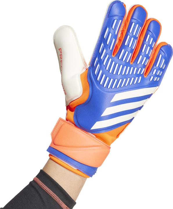 Produktbild Adidas Predator Goalkeeper Gloves Match (10, 10.5)