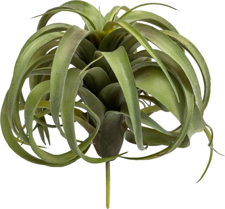 Immagine prodotto DPI Giardino (28 cm)