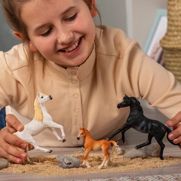 Image du produit Schleich Horse Club 13981 Araber Hengst