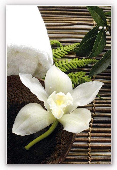 Immagine prodotto Trenddeko Orchidea del benessere (60 x 40 cm)