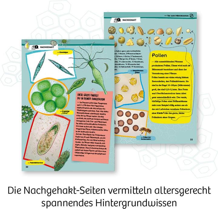 Produktbild Kosmos Entdecker-Mikroskop