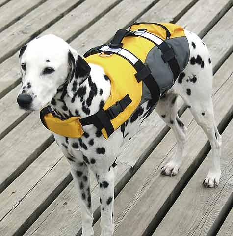 Immagine prodotto Compass Giubbotto di salvataggio per cani (S, Giubbotto di salvataggio per cani)