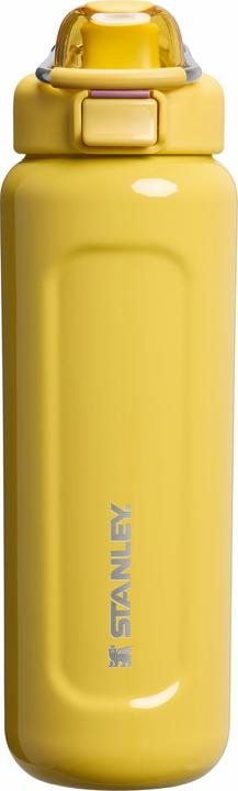 Immagine prodotto Stanley 1913 Wellspring Flasche (0.70 l)