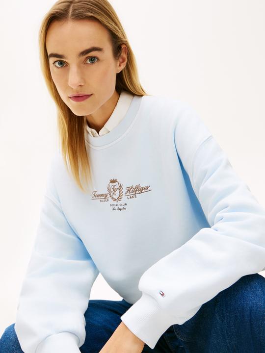 Actual product image Tommy Hilfiger Varsity Crest Terry Pullover Sweatshirt (M)