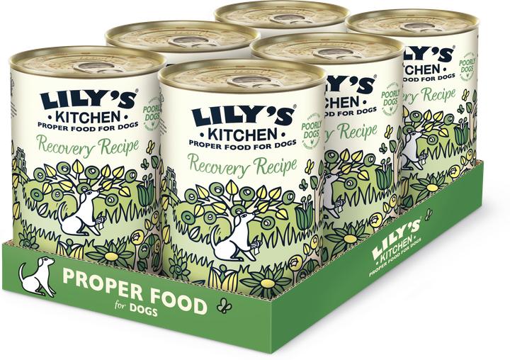 Produktbild Lily's Kitchen Recovery Recipe (Adult, 6 Stk., 2760 g)