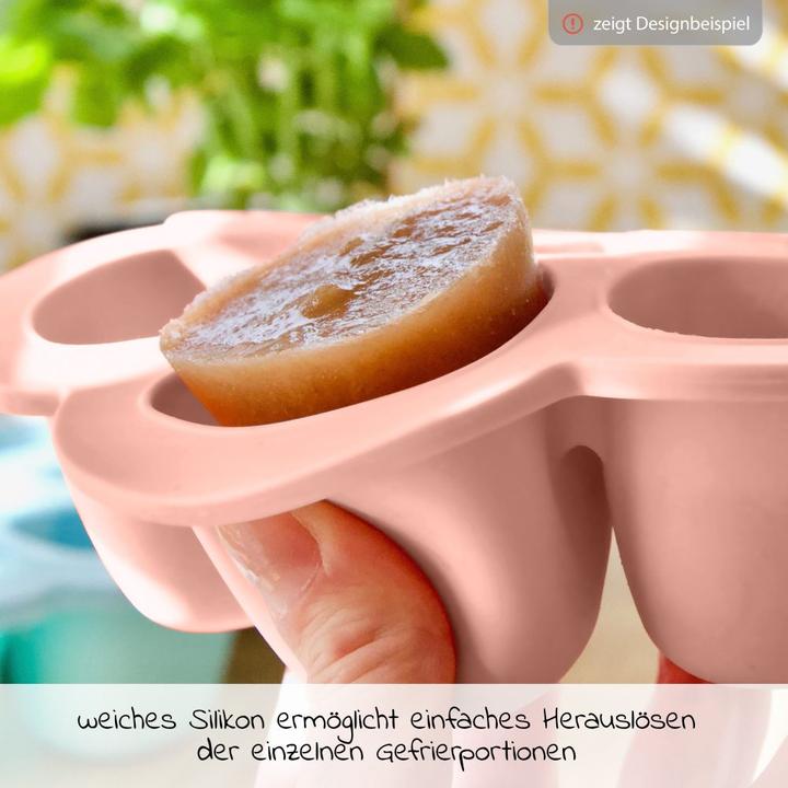 Actual product image Beaba Multiportions