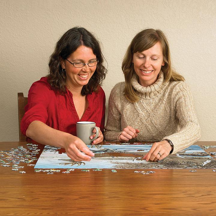 Actual product image Cobble Hill Puzzle 1000 pieces Breaking Cover (1000 pieces)