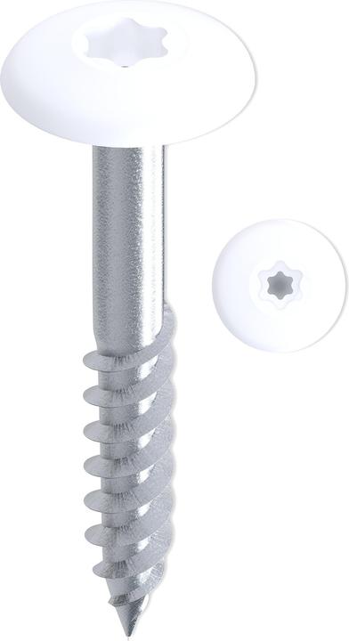 Screws