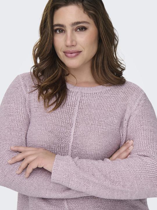 Actual product image Only CARNEW Strickpullover Strickpullover (L)