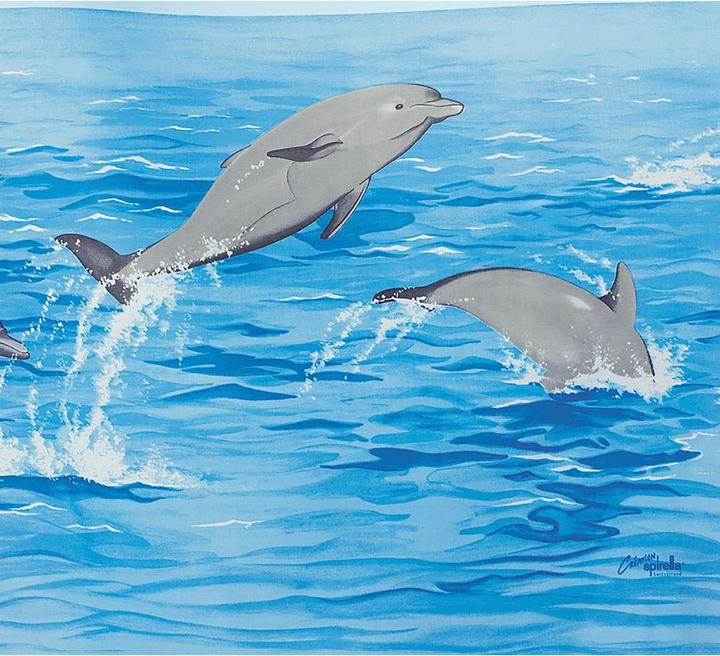 Produktbild spirella Nemo (120 x 200 cm)