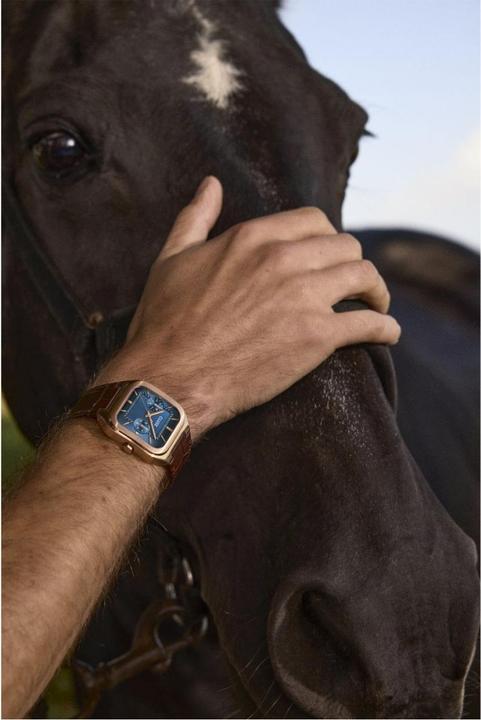 Produktbild Cluse Quadrus Multifunction (Analoguhr, 35 mm)