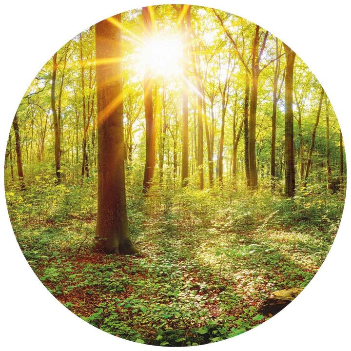 Actual product image Trenddeko Deep in the forest (Ø 140 cm)