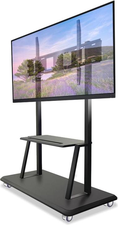 Image du produit Techly Chariot - pour écran plat - noir (55"-120") (150 kg, 55" - 120")