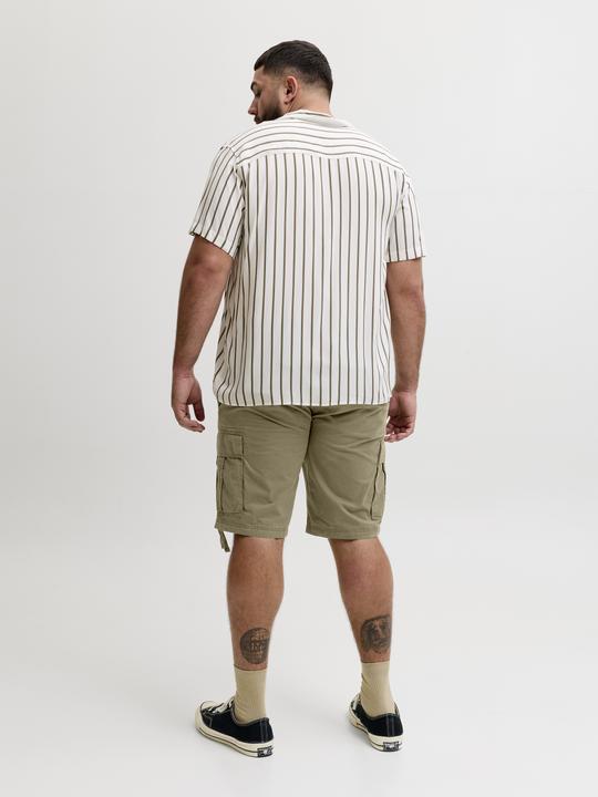 Image du produit Jack & Jones Plus Size Relaxed Fit Cargo Shorts Cargo Shorts (46)