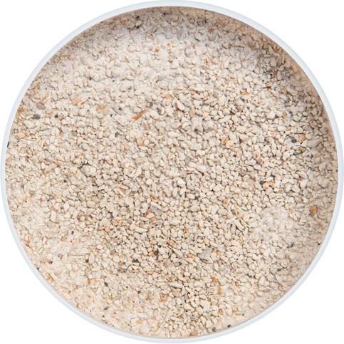 Actual product image KobrePond Ammonium / Nitrite Minus