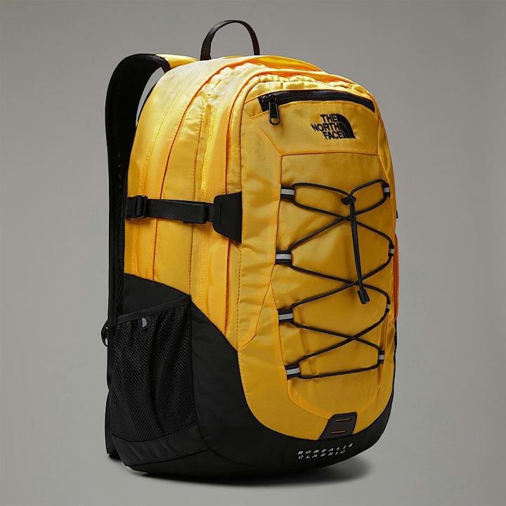 Image du produit North Face Borealis Classic (29 l)