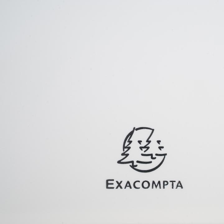 Actual product image Exacompta Sichtmappe (A4, 32 x)