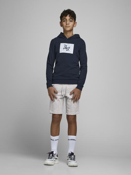 Actual product image Jack & Jones Shorts (140)