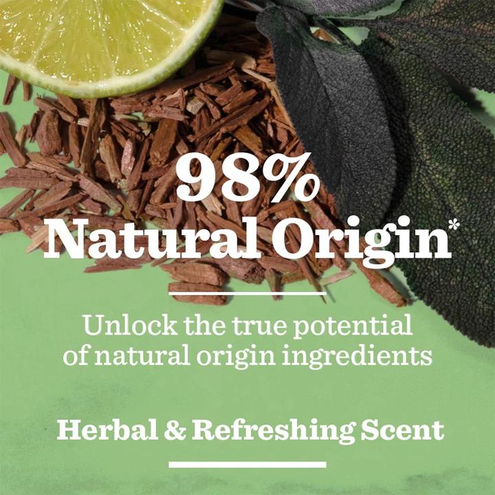 Produktbild Bulldog Original Spray Deodorant für Männer - Natural Skincare (Spray, 125 ml)