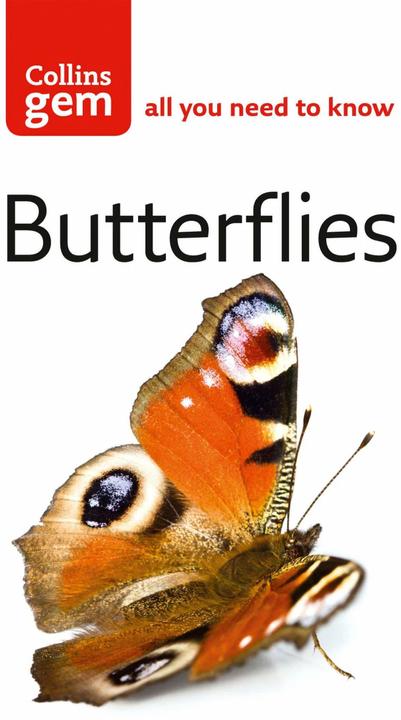 Immagine prodotto Butterflies (Inglese, Michael Chinery, 2004)