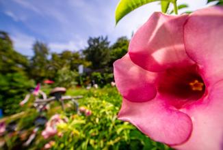 Produktbild Venus Optic Lernset G5 Off-Road 4x4 Automodell (Nikon F, Vollformat)