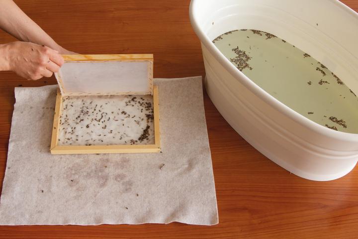 Image du produit Stafil Moule à papier