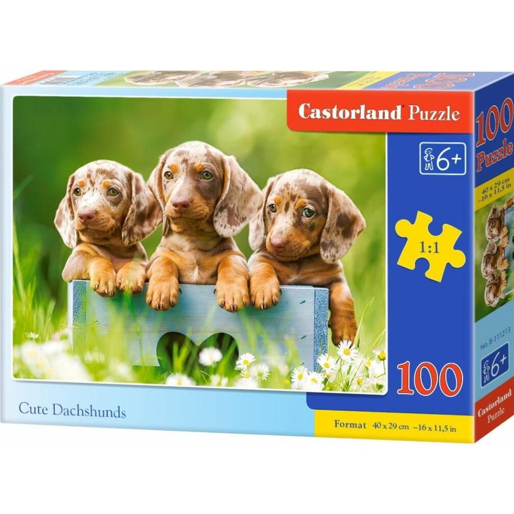 Castorland Cute Dachshunds, Puzzle 100 Teile (100 Teile)