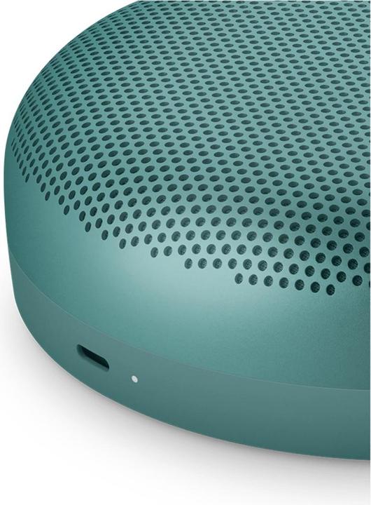 Immagine prodotto B&O Bluetooth speakers Beosound A1 3rd Gen Eucalyptus Green (24 h)