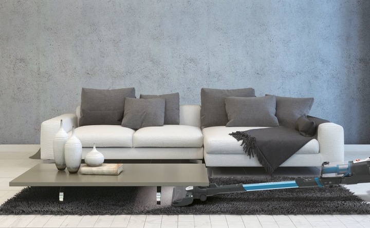 Immagine prodotto Hoover HF522STP 011