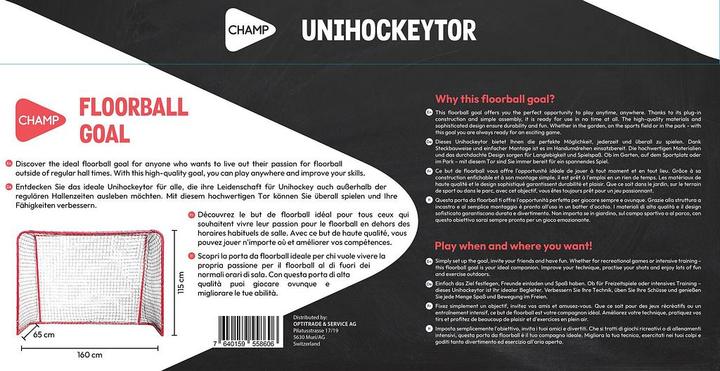 Actual product image Champ Floorball goal